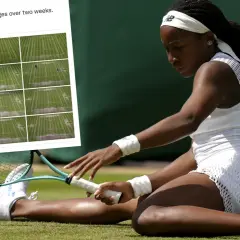 Tenis ziemny w Wimbledon, gdzie trawa zmienia się pod wpływem gry. Zawodniczka w białym stroju na zielonym korcie.
