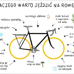 Jazda na rowerze to metamorfoza: rzeźbisz sylwetkę, czujesz wiatr we włosach i nie stoisz w korkach.