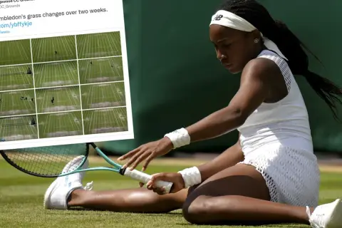 Tenis ziemny w Wimbledon, gdzie trawa zmienia się pod wpływem gry. Zawodniczka w białym stroju na zielonym korcie.