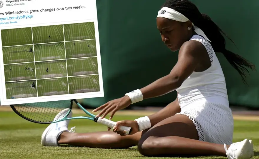 Wimbledon - Jak trawa zmienia tenis? Odkryj sekrety!