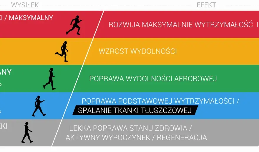 Trening aerobowy - Jak budować wydolność i formę?