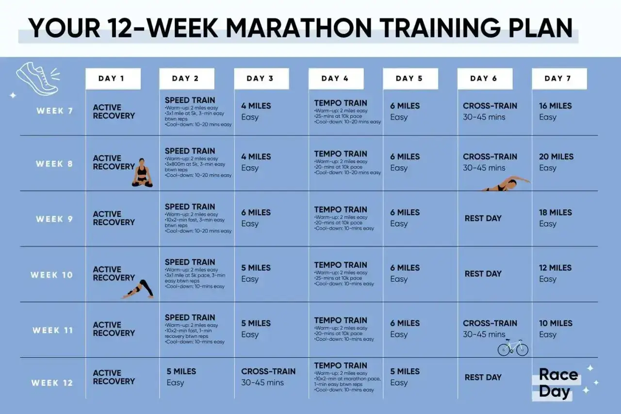 Plan treningowy na 12 tygodni do maratonu, pokazujący jak biegać: dni z aktywną regeneracją, treningi szybkościowe, tempowe, cross-training i dni odpoczynku.