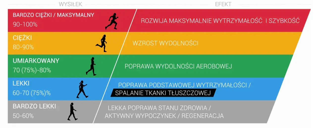 Grafika przedstawia poziomy wysiłku i ich efekty, od bardzo ciężkiego treningu aerobowego rozwijającego wytrzymałość i szybkość, po bardzo lekki poprawiający zdrowie.